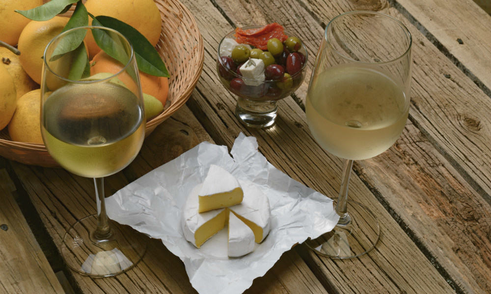 Wine and cheese testing concept